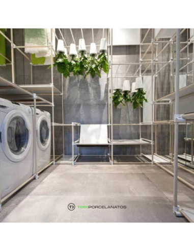 Antico Light Grey Natural 80 X 80